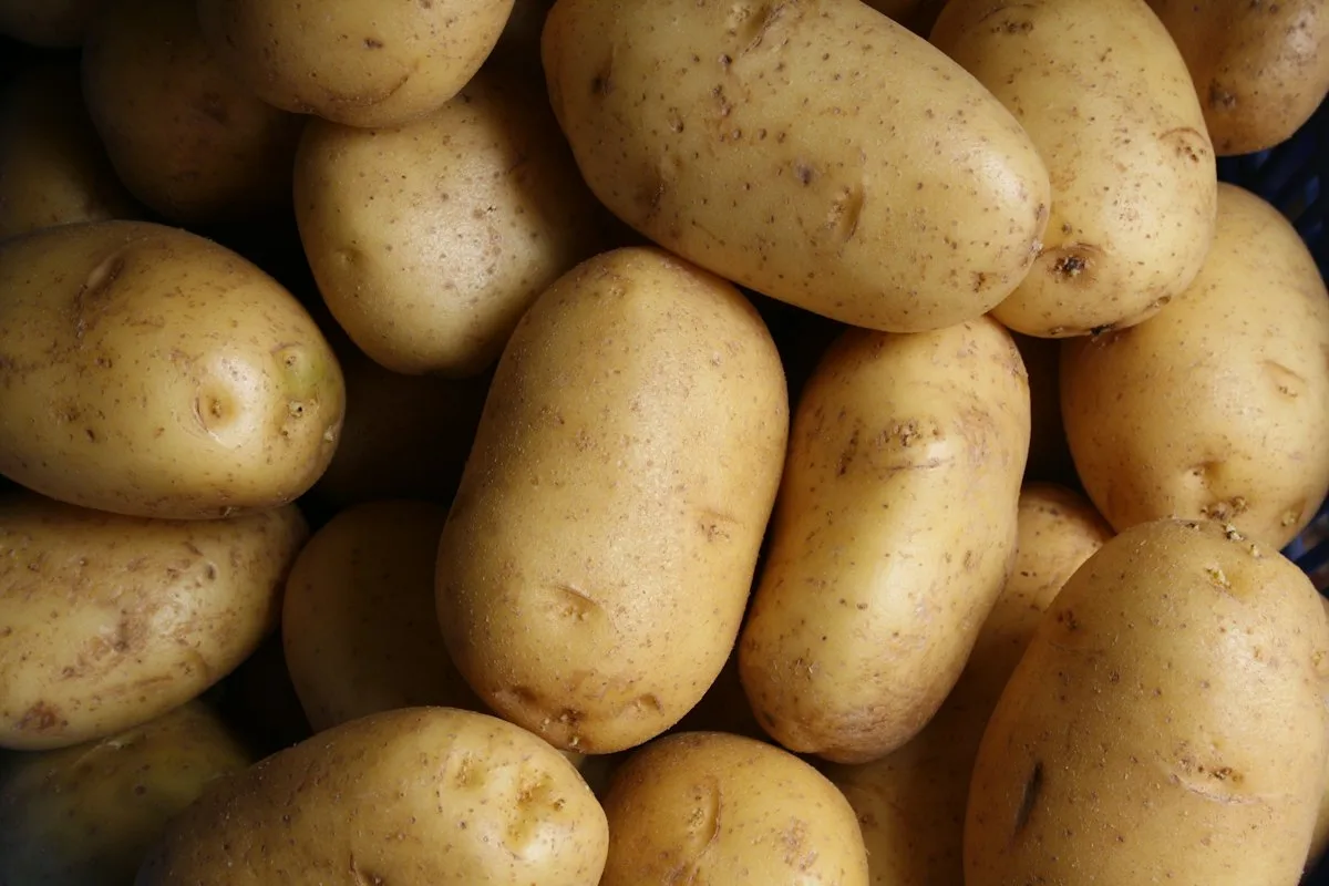 Roots & tubers stored by Florida European Cool Storage